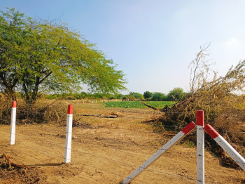  Agricultural Land for Sale in Sheoganj, Sirohi