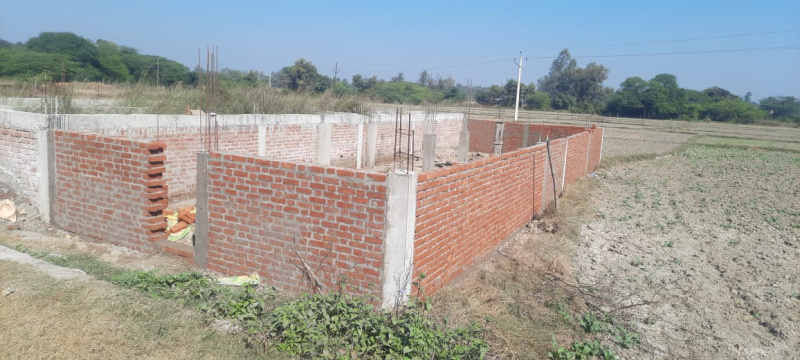 Haidergarh, Barabanki photo 4