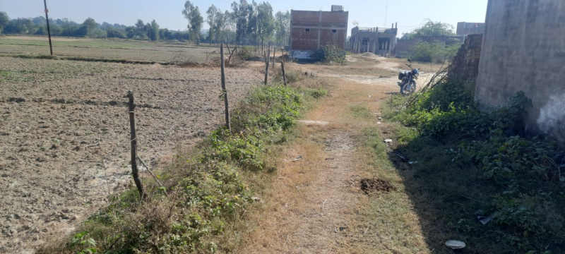 Haidergarh, Barabanki photo 5