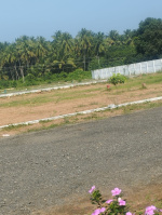  Residential Plot for Sale in Natham, Dindigul