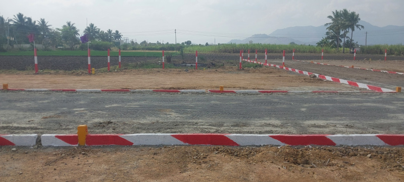  3500 Sq.ft. Residential Plot for Sale in Kalasapakkam, Tiruvannamalai