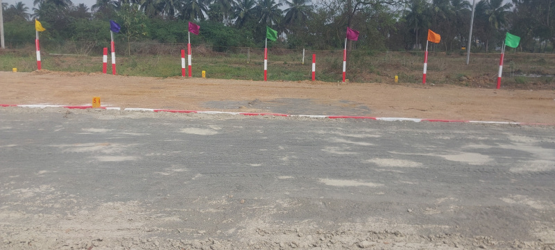  3500 Sq.ft. Residential Plot for Sale in Kalasapakkam, Tiruvannamalai
