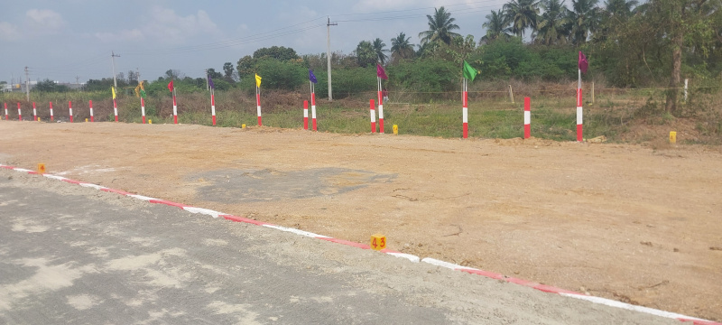  3500 Sq.ft. Residential Plot for Sale in Kalasapakkam, Tiruvannamalai