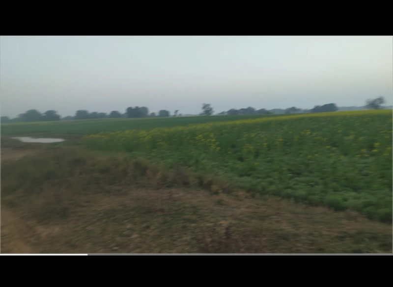  12 Acre Industrial Land for Sale in Huzur, Rewa