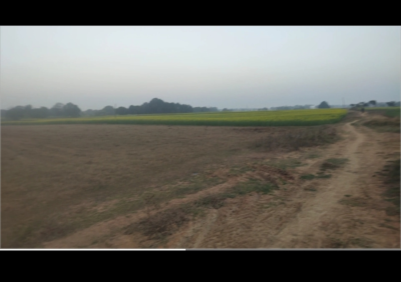  12 Acre Industrial Land for Sale in Huzur, Rewa