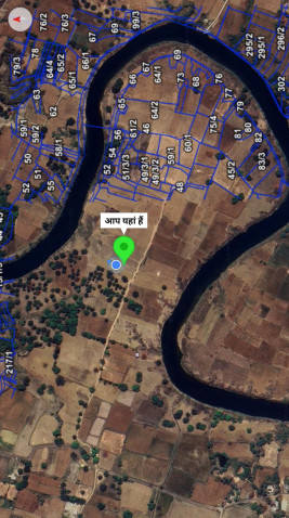  80 Acre Agricultural/Farm Land for Sale in Semaria, Rewa