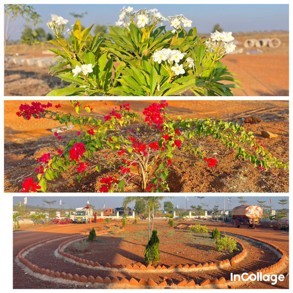  200 Sq. Yards Residential Plot for Sale in Mominpet Mandal, Vikarabad