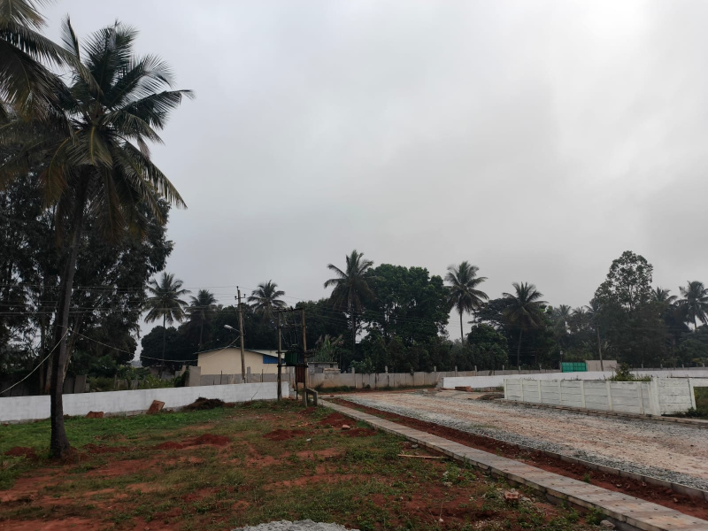  1200 Sq.ft. Residential Plot for Sale in Devanahalli, Bangalore
