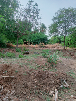  Agricultural Land for Sale in Kulithalai, Karur