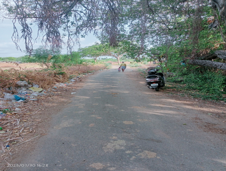  17 Sq.ft. Agricultural/Farm Land for Sale in Inam, Karur