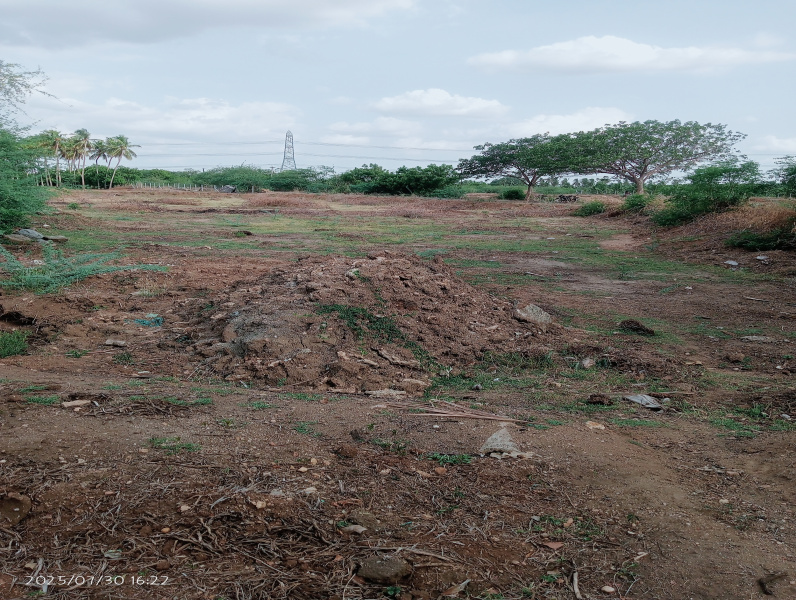  17 Sq.ft. Agricultural/Farm Land for Sale in Inam, Karur