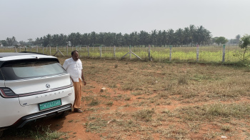  Agricultural Land for Sale in Karanampettai, Coimbatore