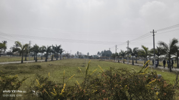  Residential Plot for Sale in Mulbagal, Kolar