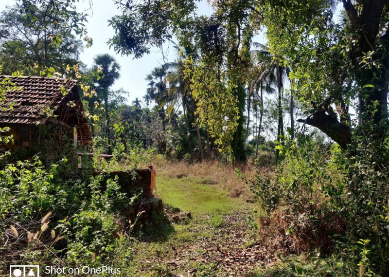 Padubidre, Udupi photo 3