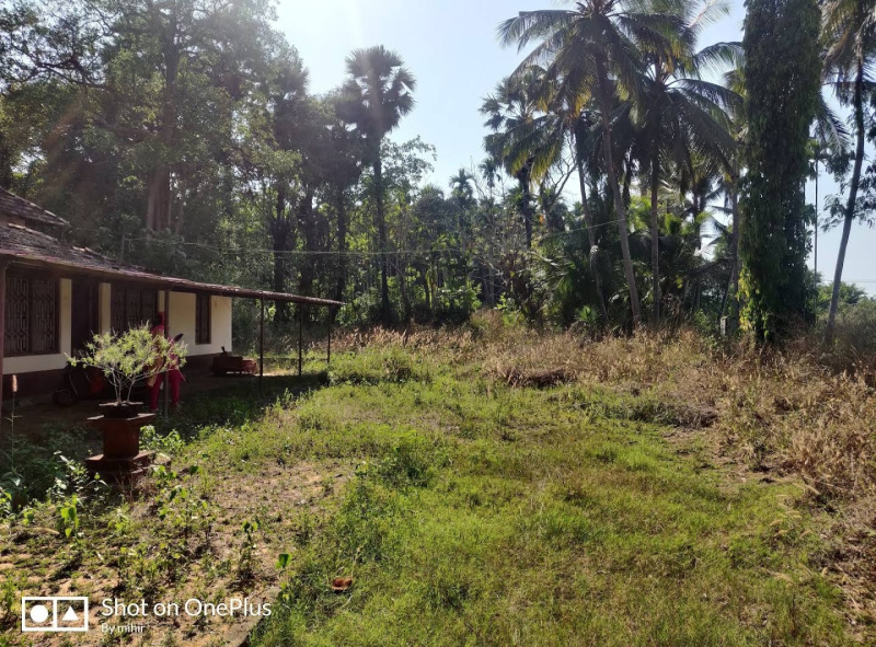 Padubidre, Udupi photo 4