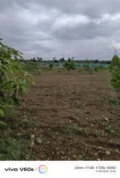  Agricultural Land for Sale in Kinathukadavu, Coimbatore