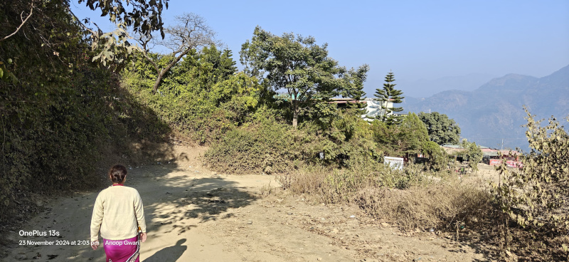  276 Sq. Meter Agricultural/Farm Land for Sale in Neelkanth Road, Rishikesh