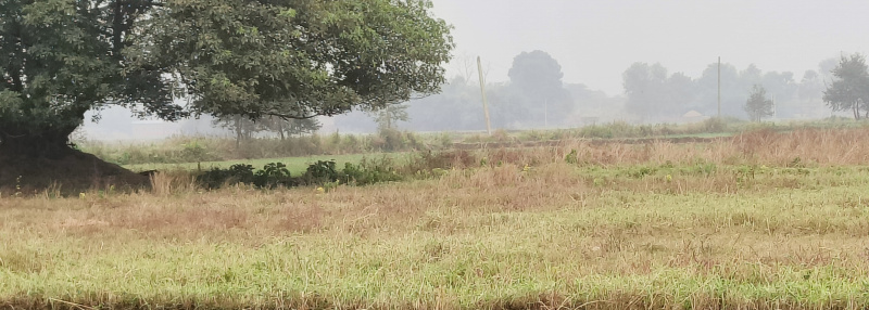  2400 Sq.ft. Residential Plot for Sale in Datiyana, Bikram, Patna