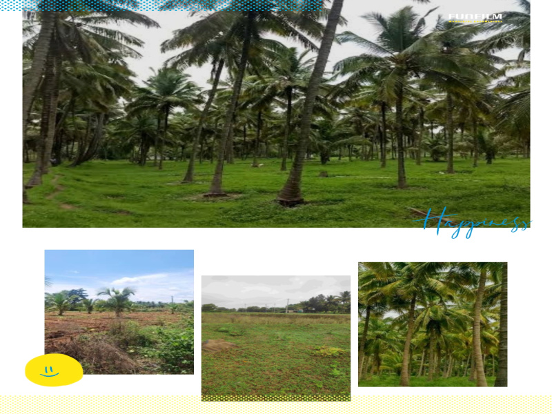  45000 Sq.ft. Agricultural/Farm Land for Sale in Channarayapatna, Hassan