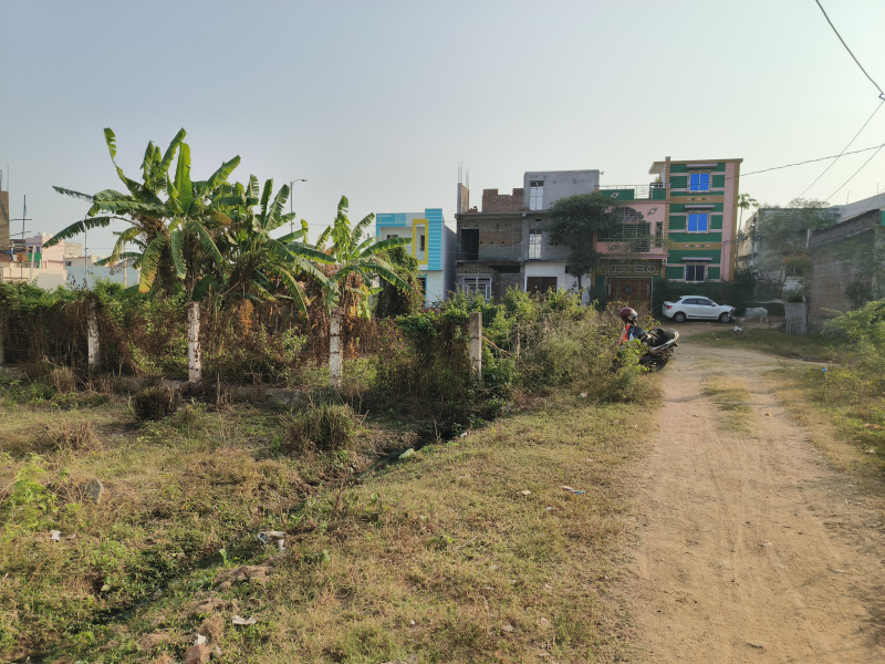 Ankuli, Berhampur photo 5