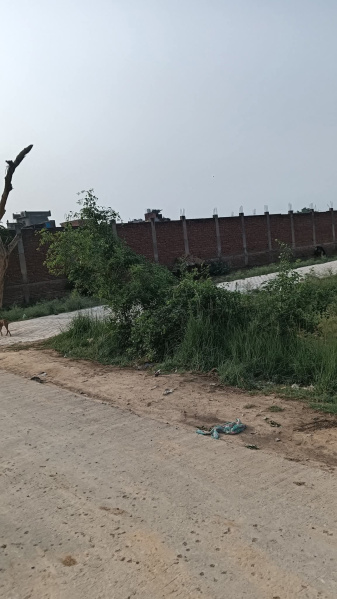  102 Sq. Yards Residential Plot for Sale in Awas Vikas Colony, Bulandshahr