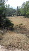  Agricultural Land for Sale in Dumduma, Bhubaneswar
