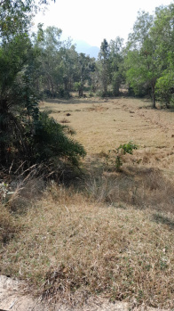 Agricultural Land for Sale in Dumduma, Bhubaneswar