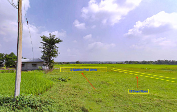  Residential Plot for Sale in Devidanga, Siliguri