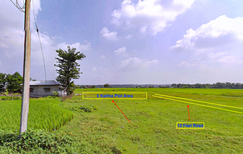  3600 Sq.ft. Residential Plot for Sale in Naxalbari, Darjeeling