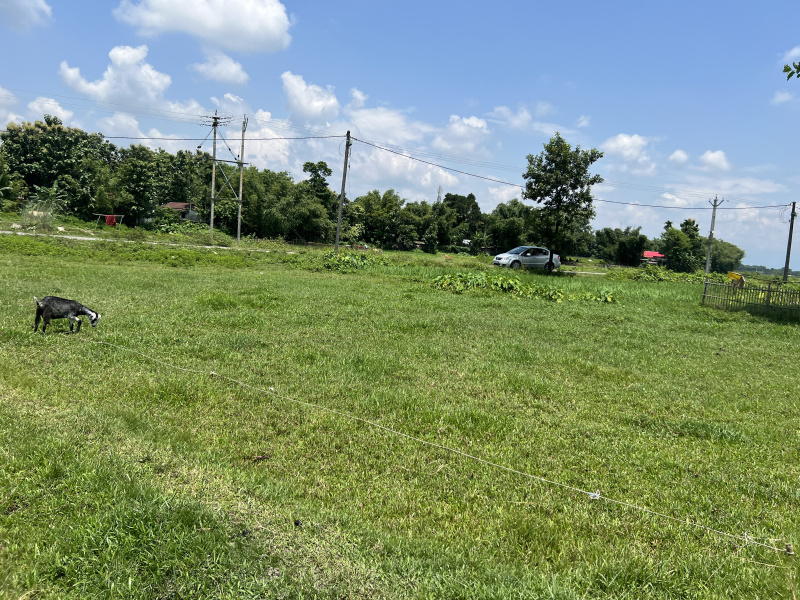  3600 Sq.ft. Residential Plot for Sale in Naxalbari, Darjeeling