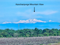  Residential Plot for Sale in Khoribari, Darjeeling