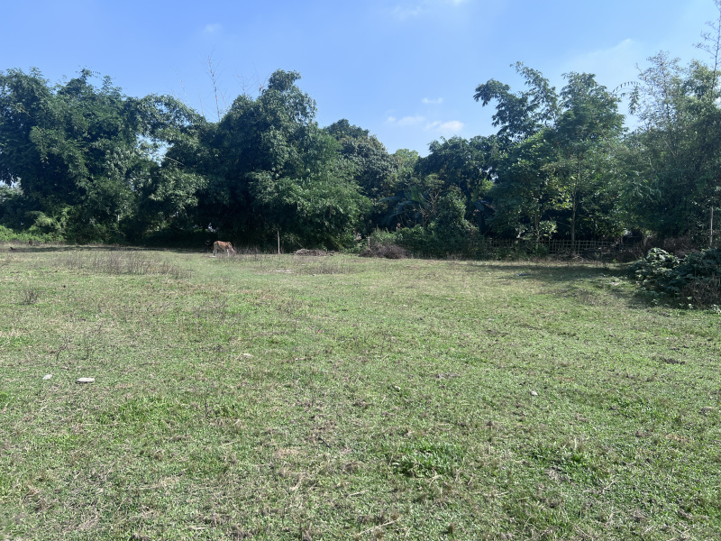  2 Bigha Residential Plot for Sale in Khalpara, Siliguri