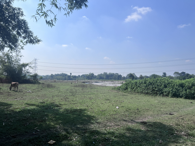  2 Bigha Residential Plot for Sale in Khalpara, Siliguri