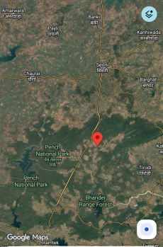  Agricultural Land for Sale in Kurai, Seoni