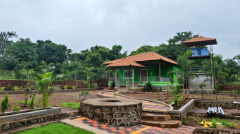  Agricultural Land for Sale in Mangaon, Raigad