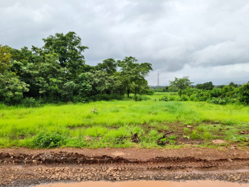 Agricultural Land for Sale in Mangaon, Raigad
