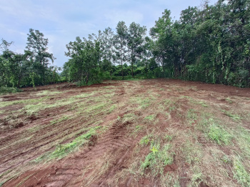  Agricultural Land for Sale in Mangaon, Raigad