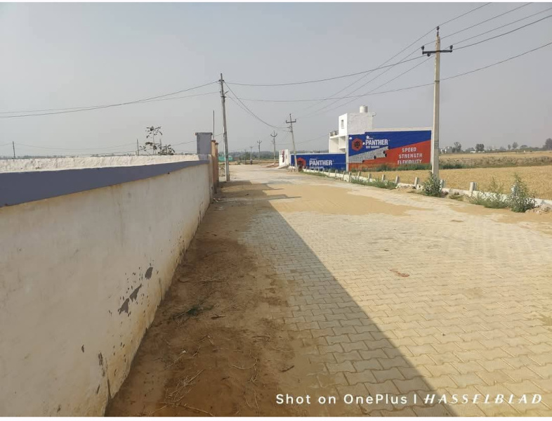 Jhajjar Road, Rohtak photo 2