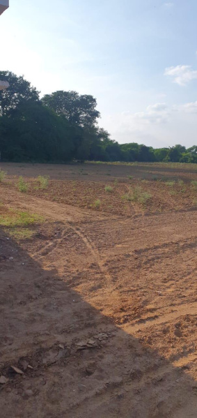  1300000 Sq.ft. Industrial Land for Sale in Manjusar GIDC, Vadodara