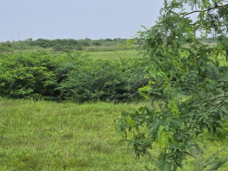  400 Acre Industrial Land for Sale in Dahej GIDC, Bharuch