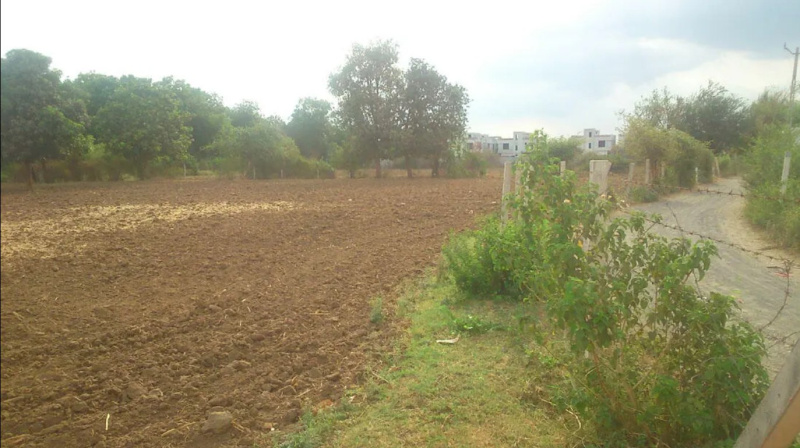 250 Acre Agricultural/Farm Land for Sale in Dahej, Bharuch