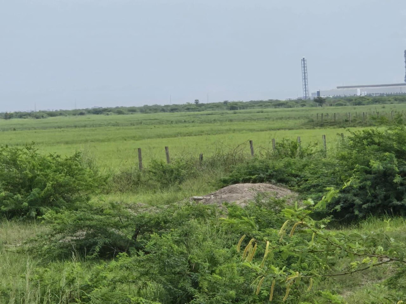  220 Acre Agricultural/Farm Land for Sale in Savli, Vadodara