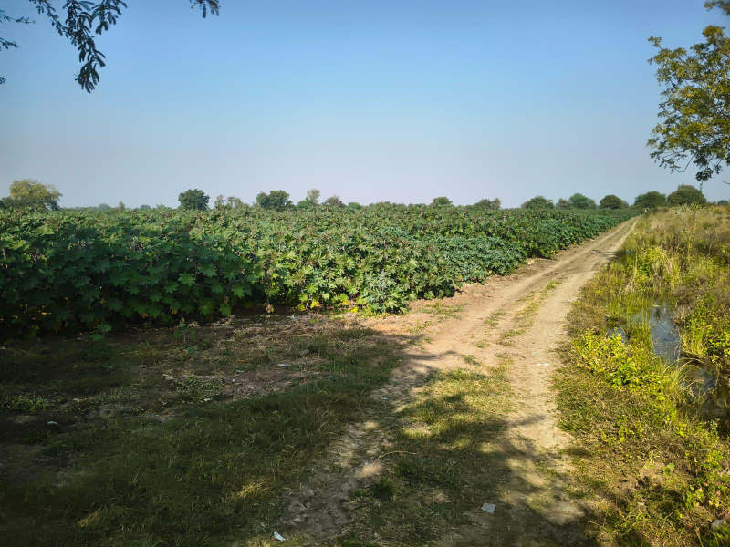  126 Acre Industrial Land for Sale in Karjan, Vadodara