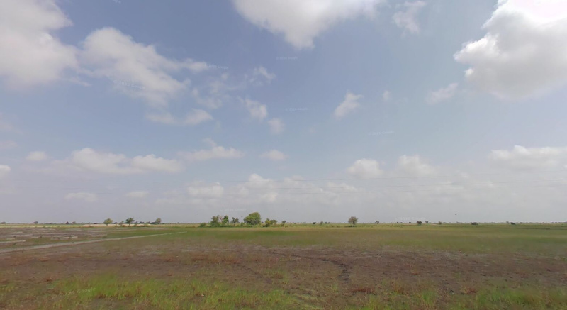  100 Acre Agricultural/Farm Land for Sale in Dholera, Ahmedabad