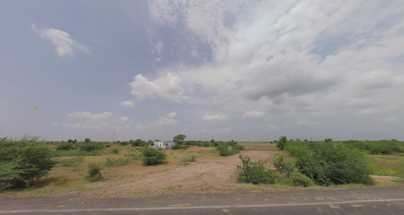  100 Acre Agricultural/Farm Land for Sale in Dholera, Ahmedabad