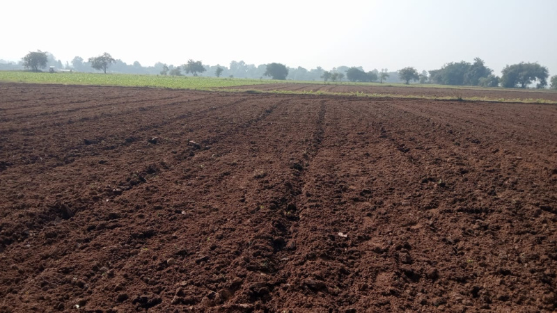 Becharaji, Mehsana photo 2