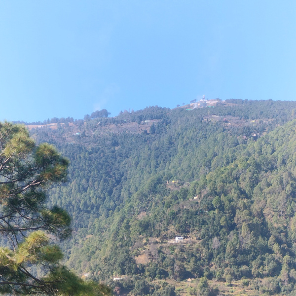  10800 Sq.ft. Residential Plot for Sale in Mukhani, Nainital
