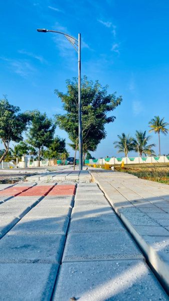  1200 Sq.ft. Residential Plot for Sale in Devanahalli, Bangalore