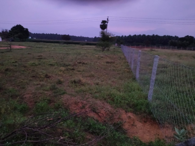  3573 Sq.ft. Residential Plot for Sale in Palani, Dindigul
