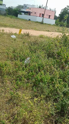  3573 Sq.ft. Residential Plot for Sale in Palani, Dindigul